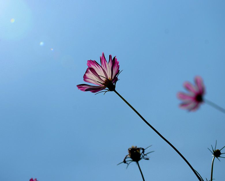 DSC_4396_.jpg