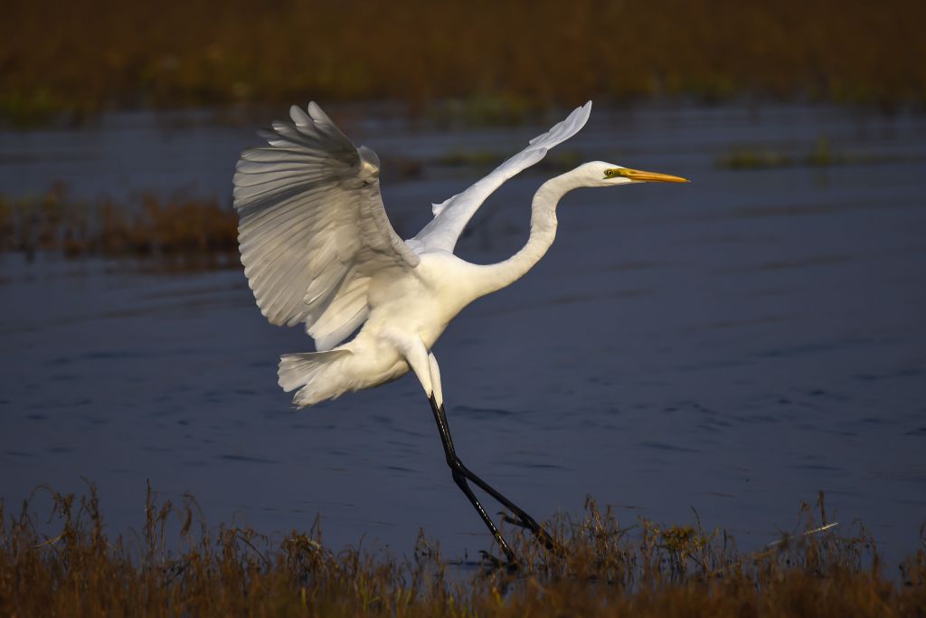 ���������_DSC1493 (2).jpg