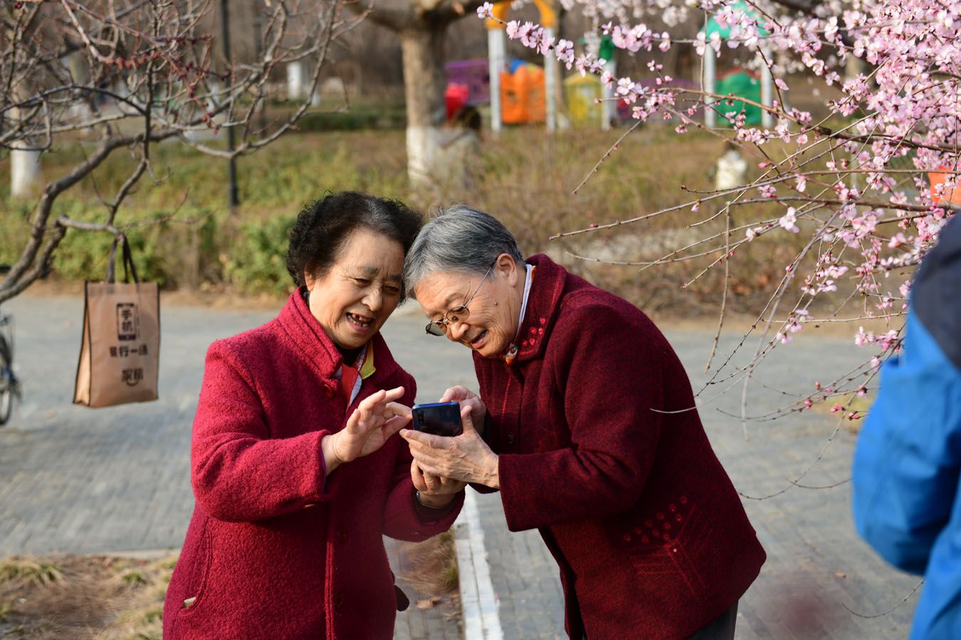 DSC_6677̌W(xu)1.jpg