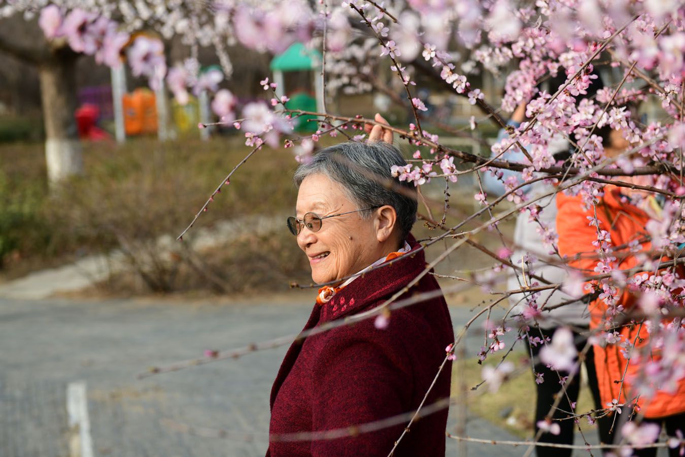 DSC_6682̌W(xu)2.jpg