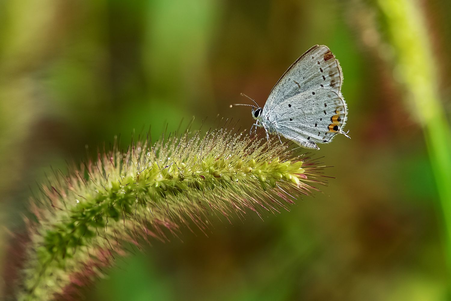 ҵDSC_0083.JPG